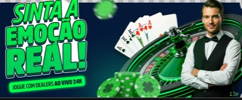 Formulário registro 13e